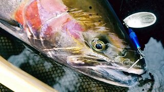 Steelhead Spinner & Spoon Fishing Tips and Techniques.