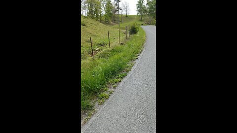 Meeting A Ground hog In Tazewell Tennessee!!! Back In 2020!!!