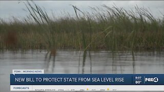 DeSantis signs bill to help protect state from sea level rise