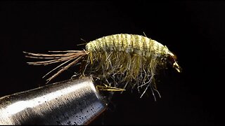 Scud Fly Tying - Tied by Charlie Craven