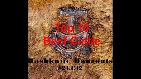TOP 10 Beef Cattle in U.S. | Beef Production (Hashknife Hangouts - S21:E42)