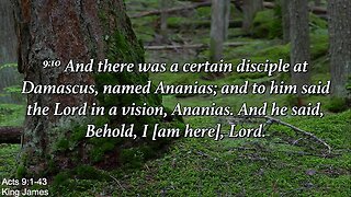 Sunday Evening, July 30th - The Good Man, Ananias