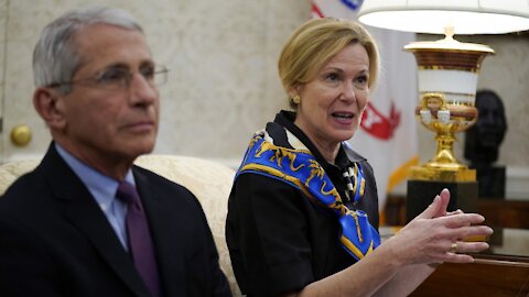 Newsy Exclusive: WH Virus Coordinator Dr. Deborah Birx Plans To Retire