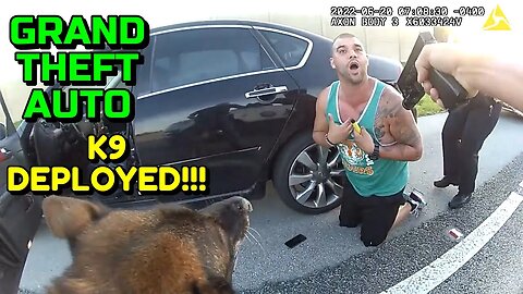 Busted for Grand Theft Auto and Striking a Police Dog - Miami, Florida - June 20, 2022