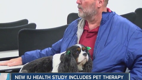 IU Health study uses pet therapy to help brain tumor patients
