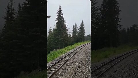 Best Train in Alaska!