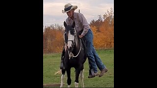 Saddling and first ride on Rain the Spotted Saddle Horse - 26 Oct 2023