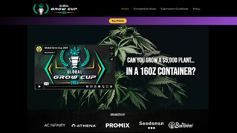 I entered the Grow Cup Challenge 2024 - 16oz Party Cup Challenge