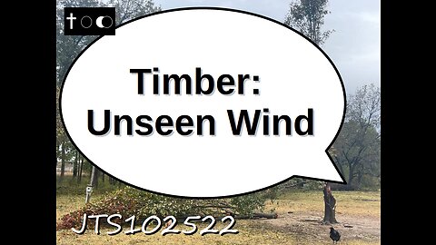 Timber: Unseen wind - JTS102522