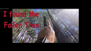 My Bigfoot Story Ep. 244 - Spring Property Check