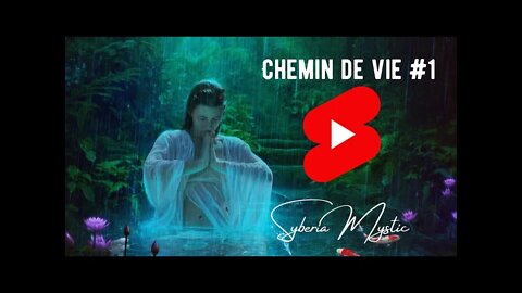 Chemin de vie #1