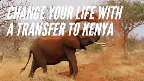 Ultimate Guide to Living in Kenya: Cost of Living, Best Cities to Live In, and Residency/Citizenship
