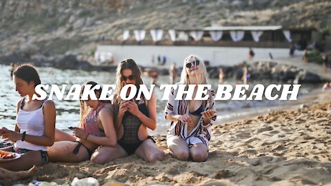 SNAKE ON THE BEACH – Nico Staf (No Copyright Music)
