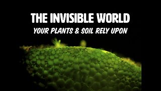 The Invisible World Your Plants & Soil Rely Upon with Matt Powers