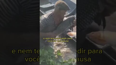 Velho Chico Pescando com a MÃO ✋