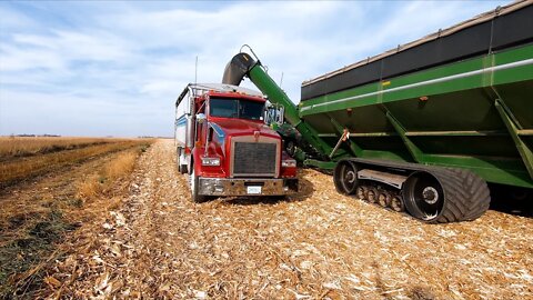 Big Carts Small Trucks #19