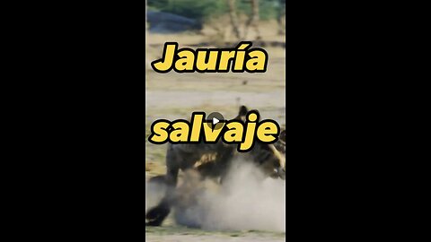 La jauría salvaje