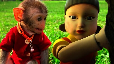 Squid Game vs Baby Monkey Animal Monkey Baby Bim Bim rescues sister