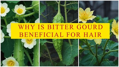How to Incorporate Bitter Gourd into Hair Care