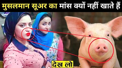 मुस्लिम सूअर का मांस क्यों नहीं खाते | Why Pork is Haram in Islam |