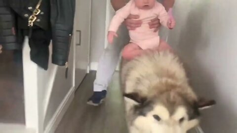 Giant Sulking Dog Hates Bath Time But Baby Helps Him (Cutest Duo EVER!!)-2