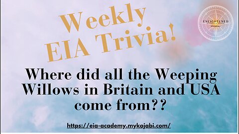 EIA Trivia Weeping Willow