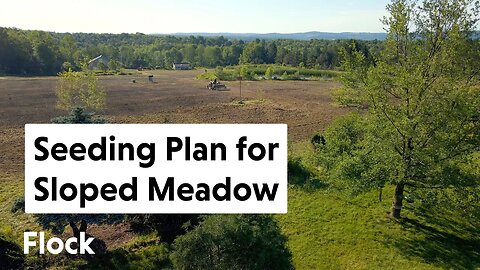 This SLOPED MEADOW Never Got Seeded — Ep. 215