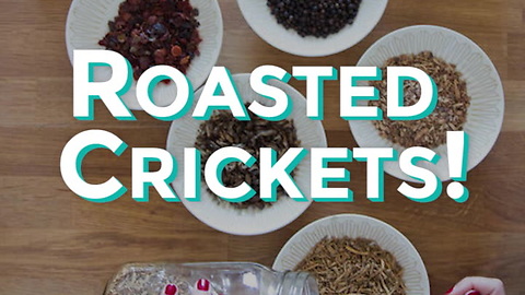 Critter Bitters: Roasted Cricket Cocktail Bitters