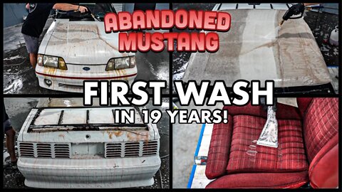 Abandoned BARN FIND 1987 Ford Mustang | First Wash In 19 Years | Car Detailing Restoration How To!