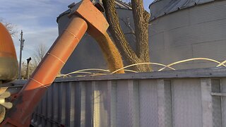 Loading Soybeans in semi truck with Killbros Grain Cart