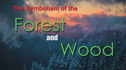 The Symbolism of the Forest and Wood