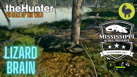 The Hunter: Call of the Wild, Lizard Brain, Mississippi Acres (PS5 4K)