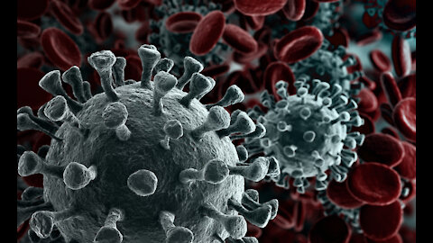 Coronavirus close up