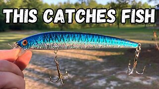 Catching Big Bass with a Mystery Lure - I Couldn't Believe the Results!"