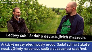 Ledový šok! Arktické mrazy zasáhly ovocné stromy. Jak jsou na tom sadaři? Co odolného pěstovat?