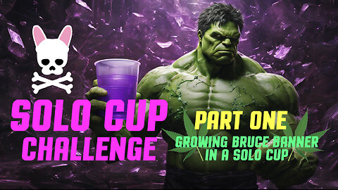 Solo Cup Challenge Episode 1 - Bruce Banner Autoflower