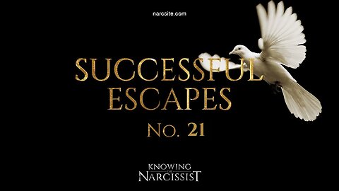 Successful Escapes : 21