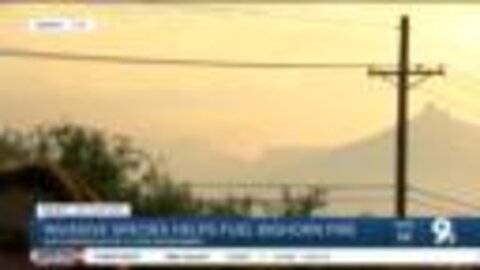 Catalina Mountain ecological diversity affects bighorn fire