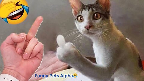 New Funniest Cats😸And Dogs🐶videos😂😂😂-Try not to laugh/challenge🤩