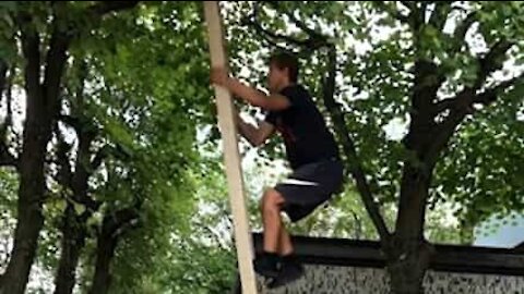 Jovem sobe escada sem apoio e faz salto mortal de árvore