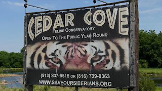 Cedar Cove Feline Conservatory