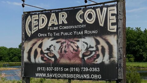 Cedar Cove Feline Conservatory