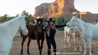Sedona Horse Medicine - A TrueNorth Journey