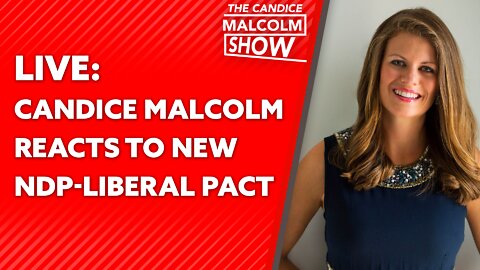 Candice Malcolm reacts to new NDP-Liberal Pact