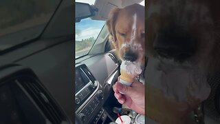 Bernie Gets Ice Cream!