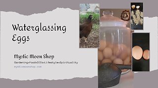Water Glassing Eggs - Long Term Storage