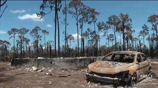 Firefighters rescue couple from burning home in brush fire