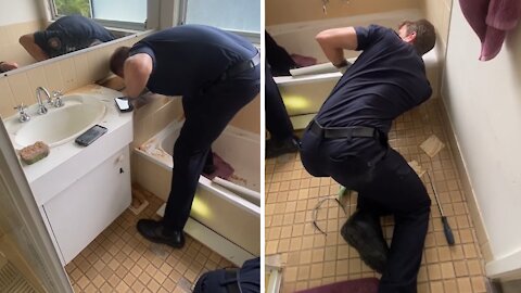 Firefighters rescue cat stuck under bathtub