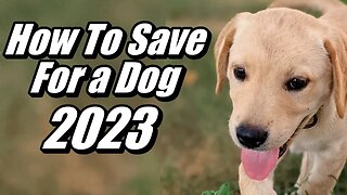 How To Save For A Dog in 2023