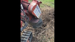 Stump grinding